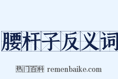 腰杆子反义词是什么意思的图片